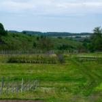 10 Bigha Mixed Use Land for sale in Mokhampura, Ajmer Road, Jaipur